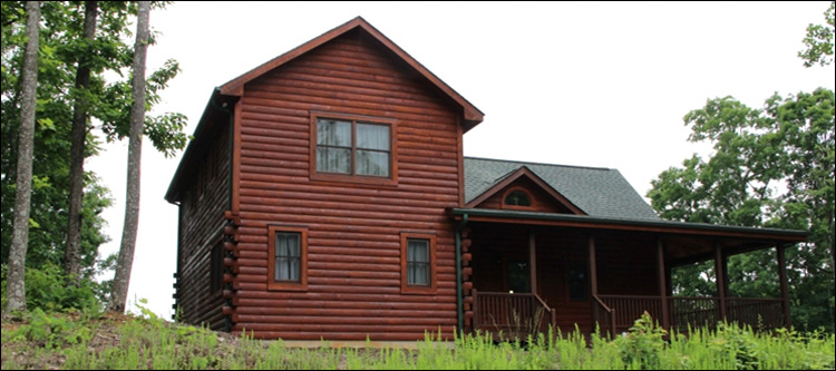 Professional Log Home Borate Application  Patrick County, Virginia